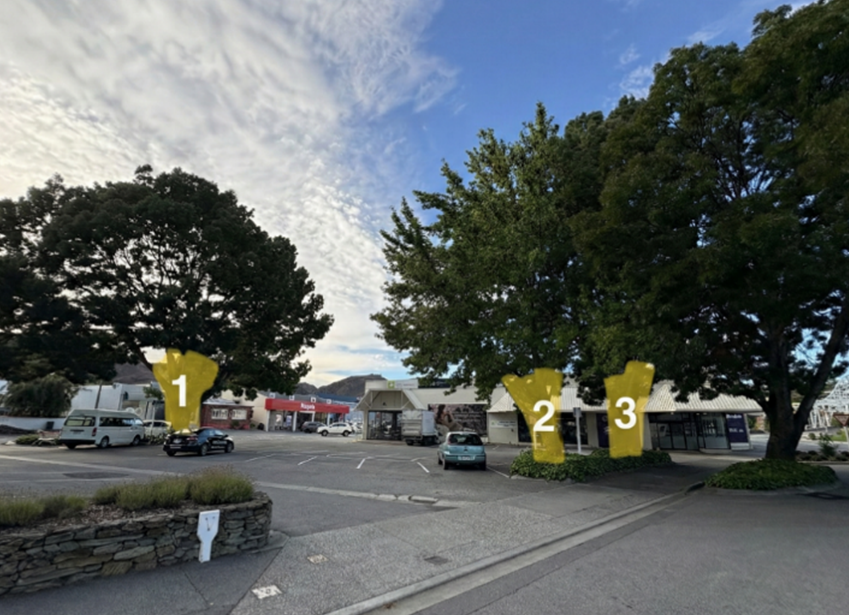 Carpark view with 3 highlighted trees scheduled for removal